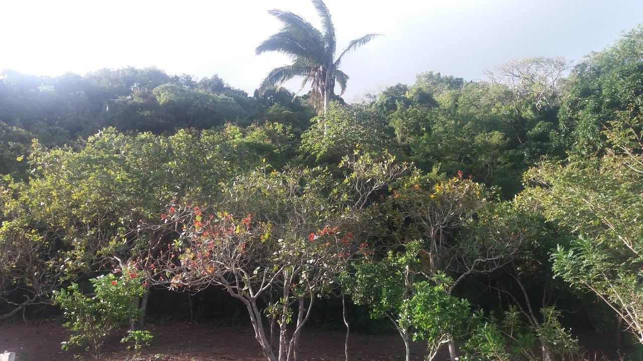 Refugio Na Serra バナネイラス エクステリア 写真