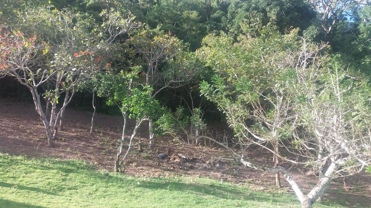 Refugio Na Serra バナネイラス エクステリア 写真
